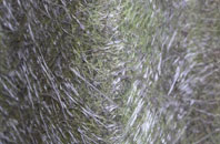 Nosterfield fibreglass roof work